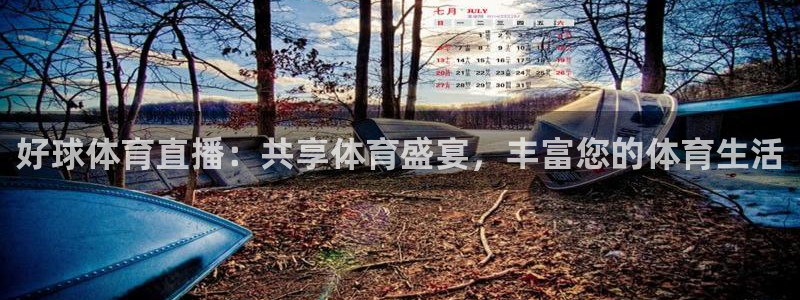 好球体育直播：共享体育盛宴，丰富您的体育生活