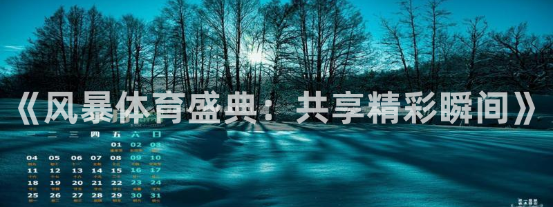 《风暴体育盛典：共享精彩瞬间》