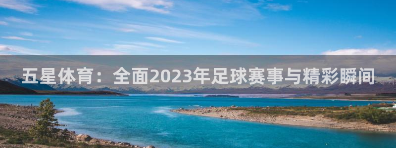 五星体育：全面2023年足球赛事与精彩瞬间