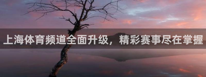上海体育频道全面升级，精彩赛事尽在掌握