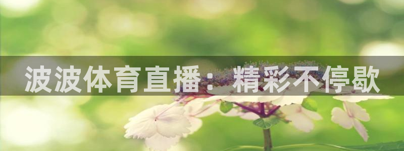 波波体育直播：精彩不停歇