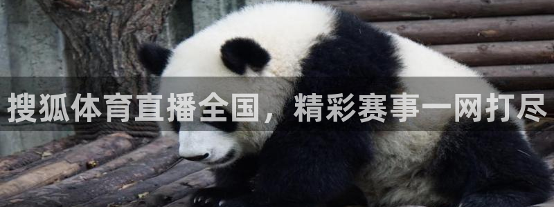 搜狐体育直播全国，精彩赛事一网打尽