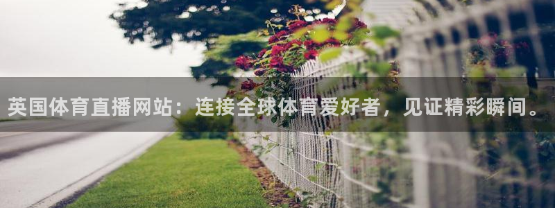 英国体育直播网站：连接全球体育爱好者，见证精彩瞬间。