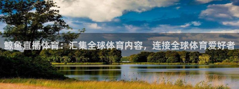 鲸鱼直播体育：汇集全球体育内容，连接全球体育爱好者