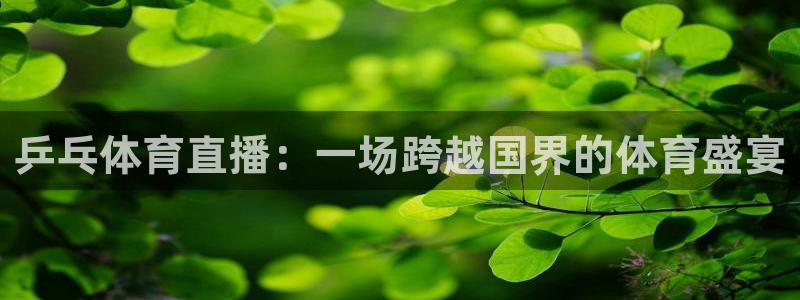 乒乓体育直播：一场跨越国界的体育盛宴