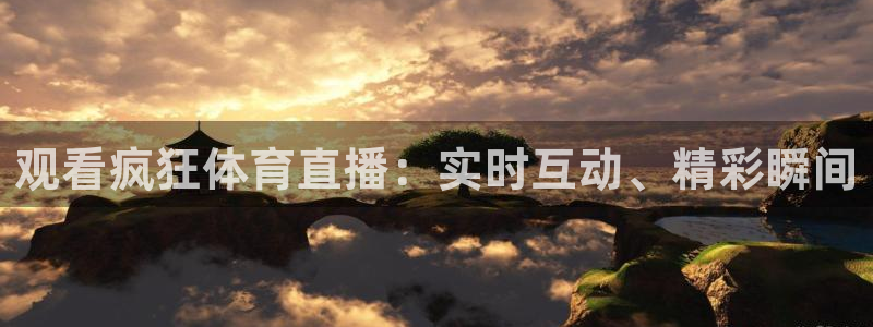 观看疯狂体育直播：实时互动、精彩瞬间
