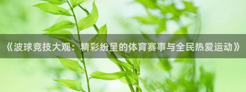《波球竞技大观：精彩纷呈的体育赛事与全民热爱运动》