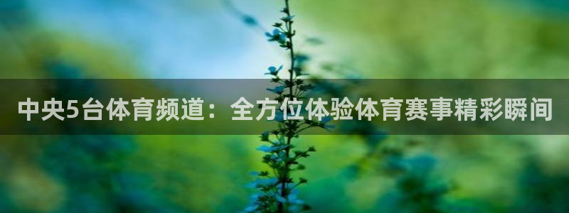 中央5台体育频道：全方位体验体育赛事精彩瞬间