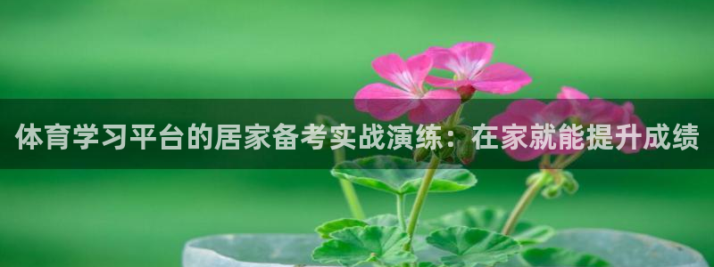 体育学习平台的居家备考实战演练：在家就能提升成绩