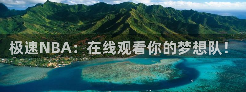 极速NBA：在线观看你的梦想队！