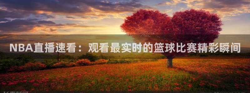 NBA直播速看：观看最实时的篮球比赛精彩瞬间