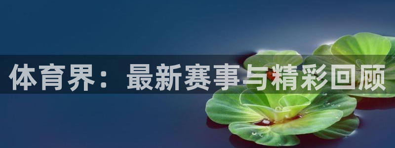 体育界：最新赛事与精彩回顾